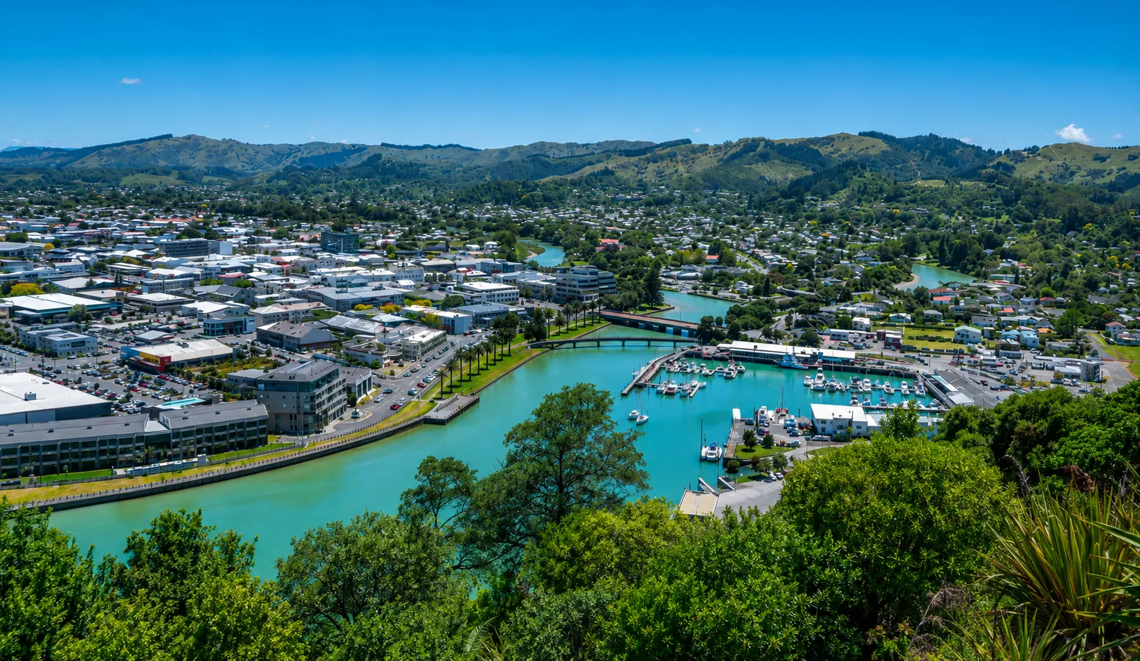 Gisborne City, franchise territory available